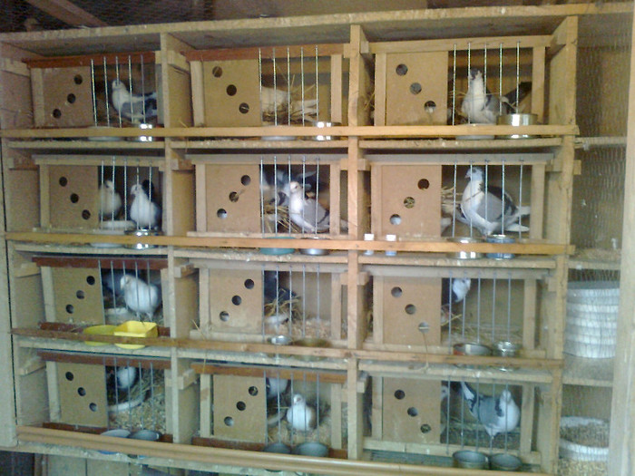 Imperechere galateni 2 martie 2012