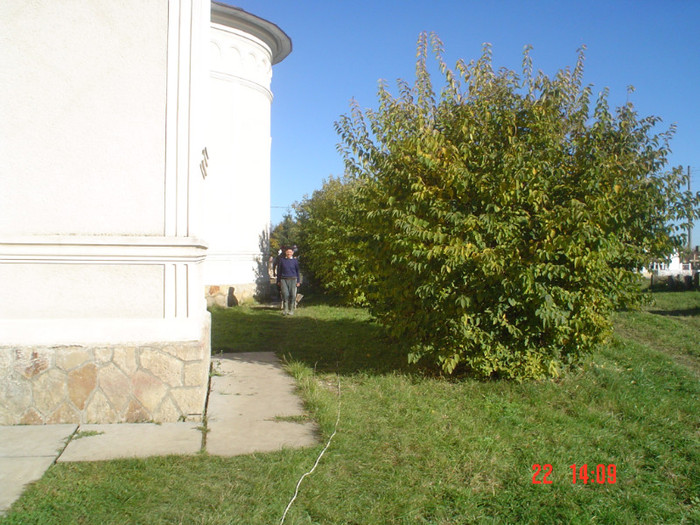 DSC02560 - Foto CIMITIR ALEI PORTI CLOPOTNITA 2010 Noembrie