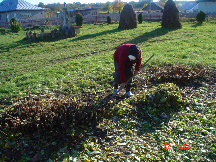 DSC02573 - Foto CIMITIR ALEI PORTI CLOPOTNITA 2010 Noembrie