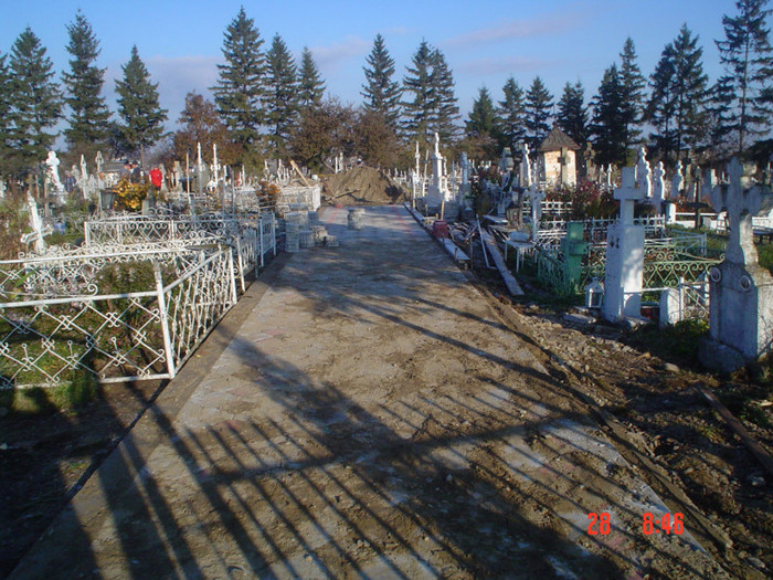 DSC02717 - Foto CIMITIR ALEI PORTI CLOPOTNITA 2010 Noembrie