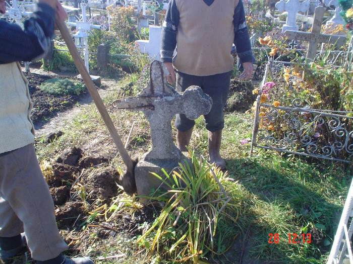 DSC02723 - Foto CIMITIR ALEI PORTI CLOPOTNITA 2010 Noembrie