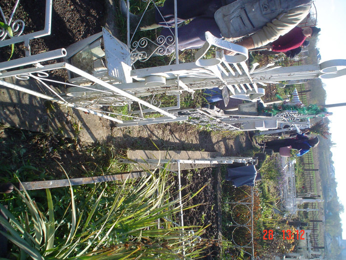 DSC02731 - Foto CIMITIR ALEI PORTI CLOPOTNITA 2010 Noembrie