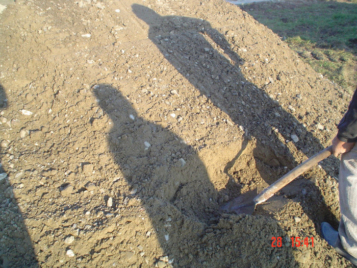 DSC02733 - Foto CIMITIR ALEI PORTI CLOPOTNITA 2010 Noembrie