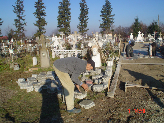 DSC02751 - Foto CIMITIR ALEI PORTI CLOPOTNITA 2010 Noembrie