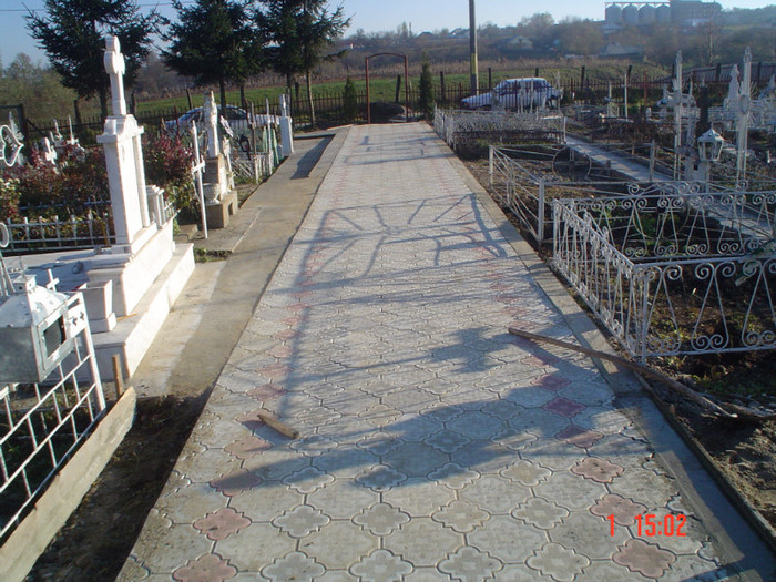 DSC02761 - Foto CIMITIR ALEI PORTI CLOPOTNITA 2010 Noembrie