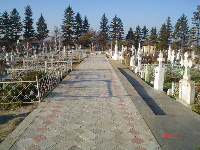 DSC02764 - Foto CIMITIR ALEI PORTI CLOPOTNITA 2010 Noembrie