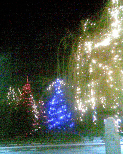 Imag060 - Parc Dec 2011