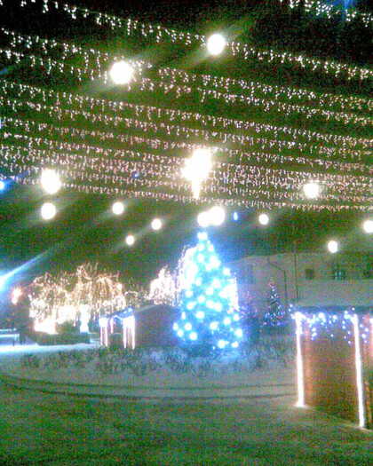 Imag056 - Parc Dec 2011