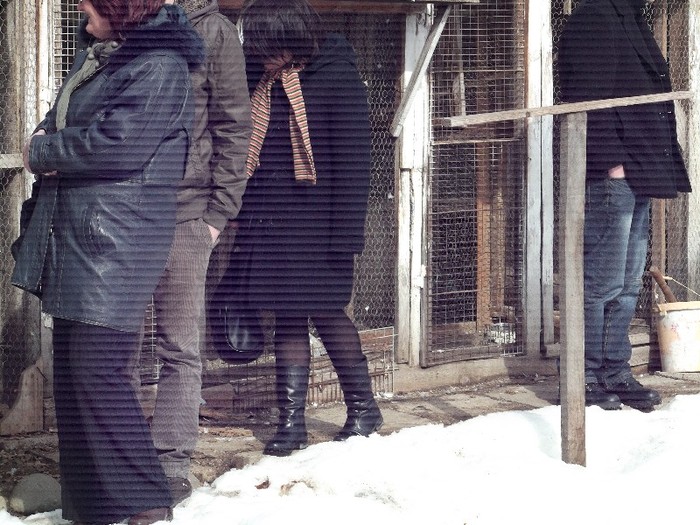 MAI LIPSESC PICIOARE.... - FERMA HETREA CORNEL