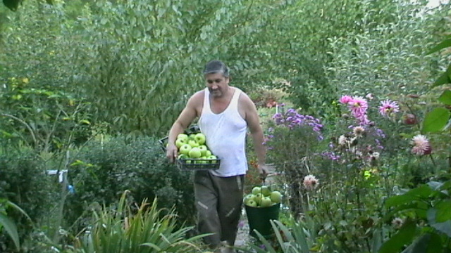 usor ca rupi florile