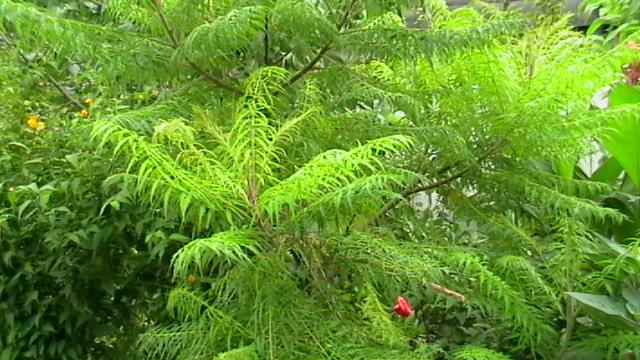 IMGA0401