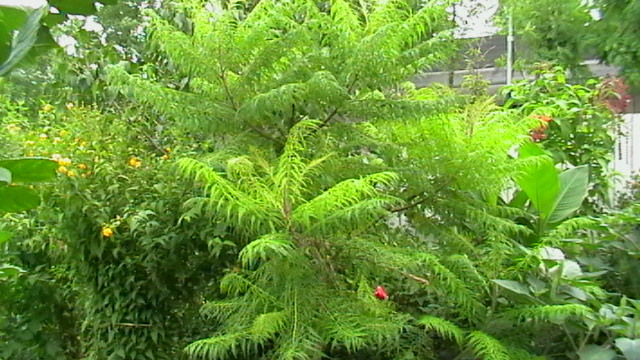 IMGA0402