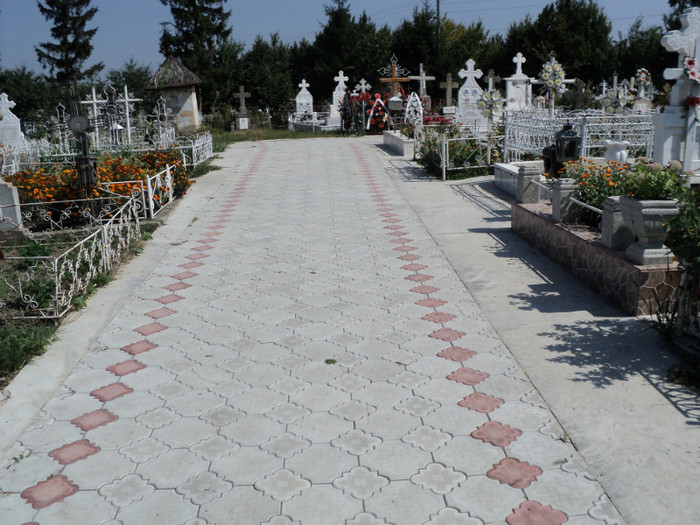 DSC09631 - Foto CIMITIR ALEI PORTI CLOPOTNITA 2011 Noembrie