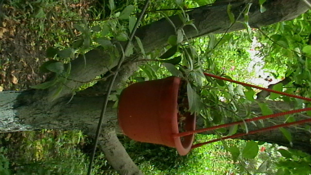 IMGA0451