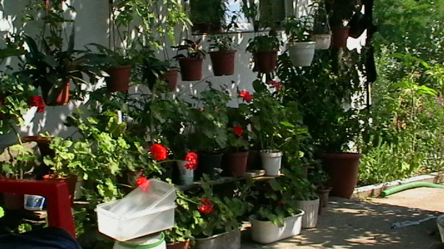 IMGA0472
