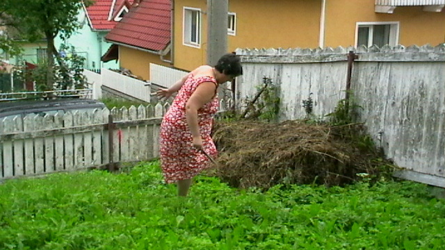 in gradina liei sibiu