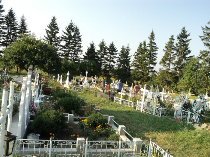 DSC09686 - Foto CIMITIR ALEI PORTI CLOPOTNITA 2011 Noembrie