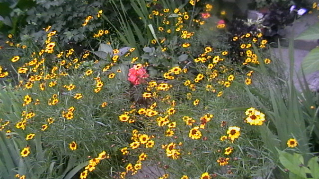 IMGA0930
