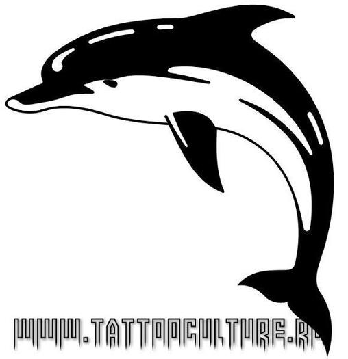 Dolphin-Tattoo