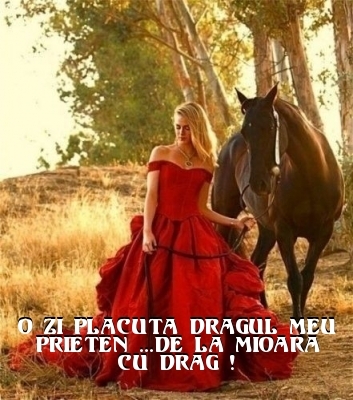 8b6d81f810c997c8e096fe83204309bf