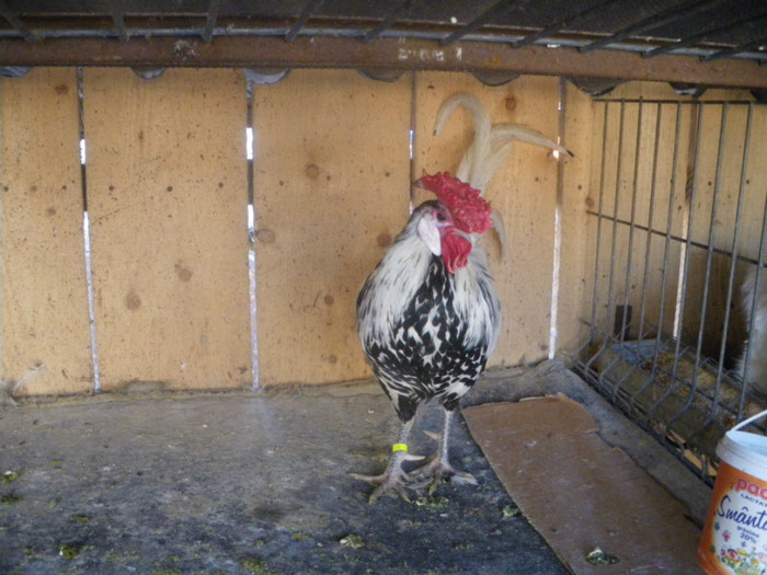 IMGP0568; 2010=100 RON
