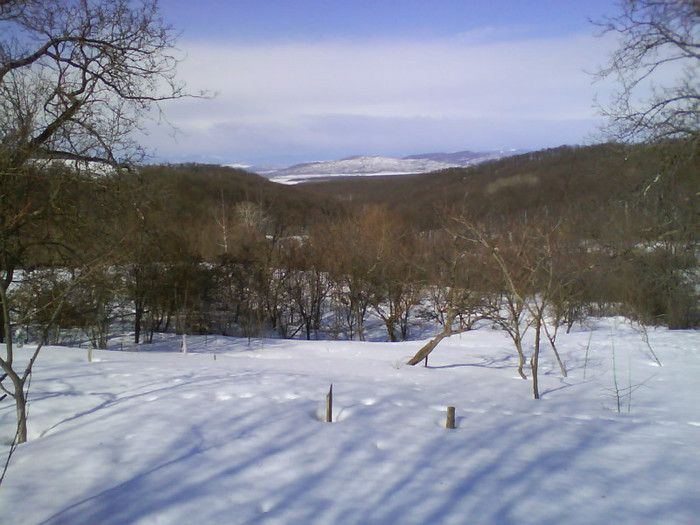afara e multa zapada - c-martie2012