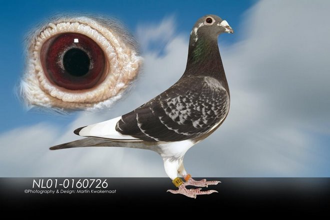 3; De asemenea, de la Dl. Lichtenberg a cumparat un t
