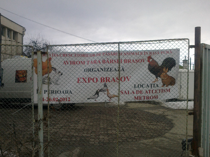250220121872 - poze expo brasov feb 2012