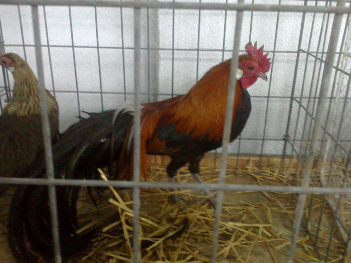 260220122034