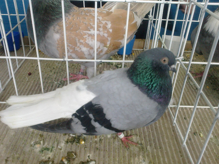 260220122094