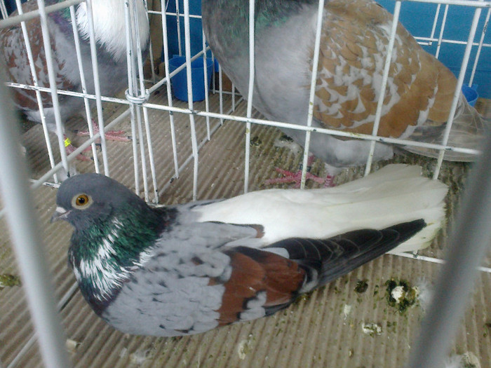 260220122095