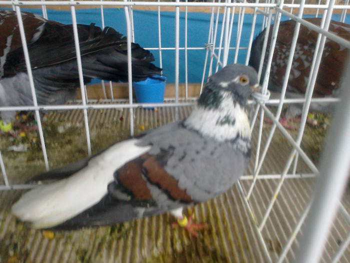 260220122098