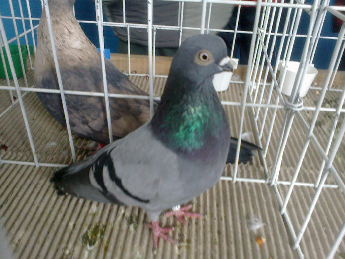 260220122123