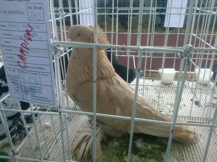 260220122151