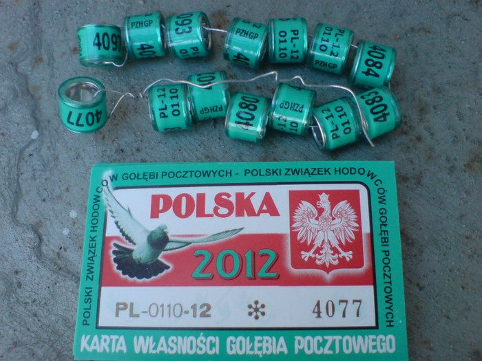 Polonia 2012 - 3-Inele 2012