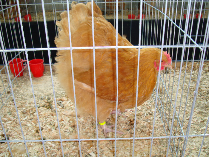 DSC09705