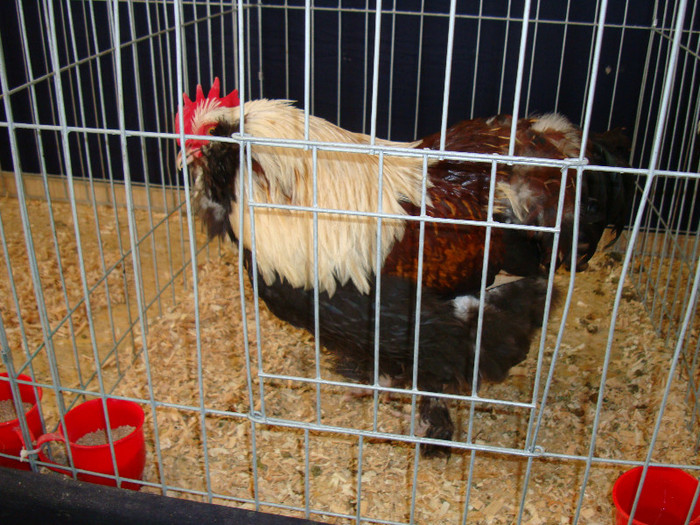 DSC09725