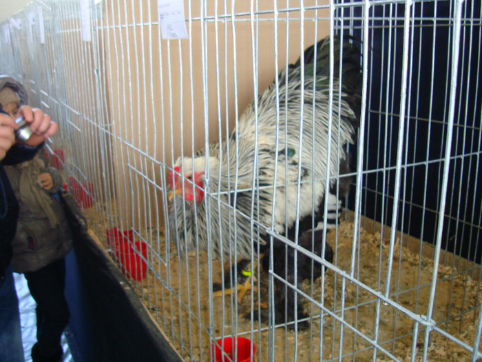 DSC09746