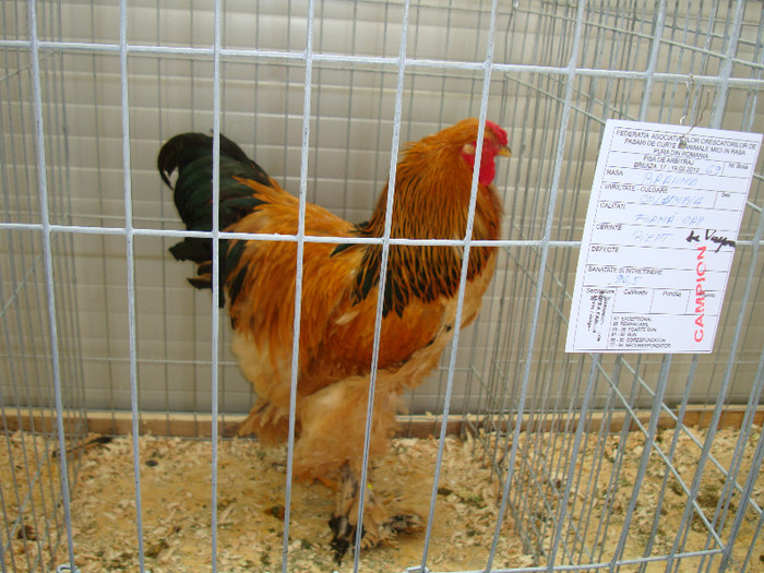 DSC09751