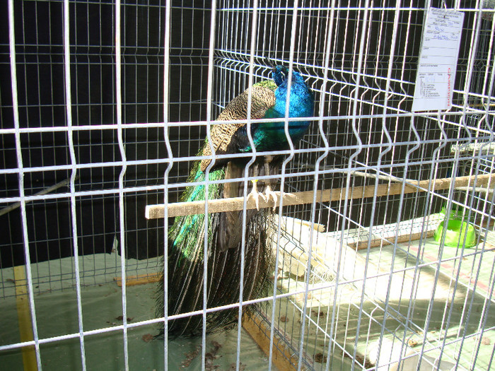 DSC09755