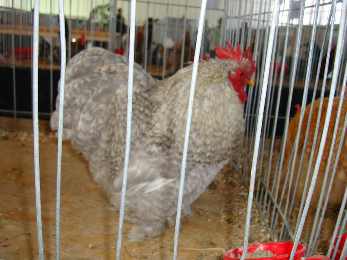 DSC09790