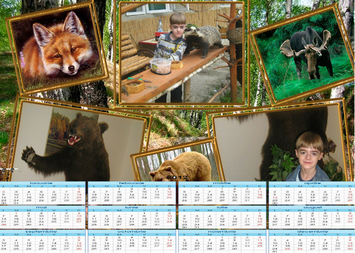 calendar zoo 2012 copy