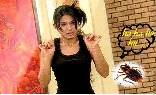 30039_122848304417549_100000771400802_119862_3875265_n