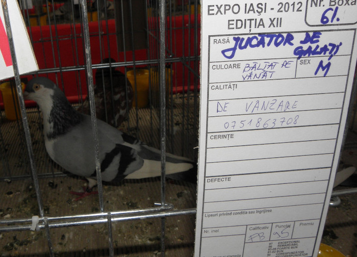 Picture 117 - expo iasi 2012
