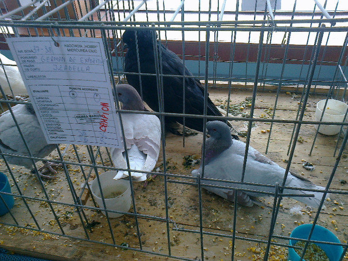 Fénykép0610