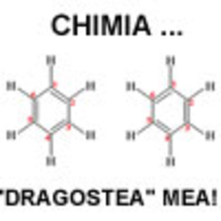 dragusteamea