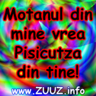 motanul din mine vrea pisicutza din tine