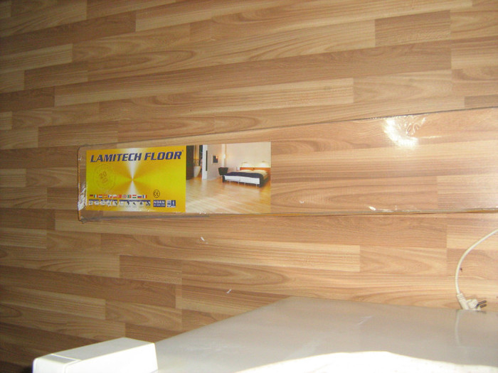 IMG_6121 - Praznicarul Pictura si diverse lucrari