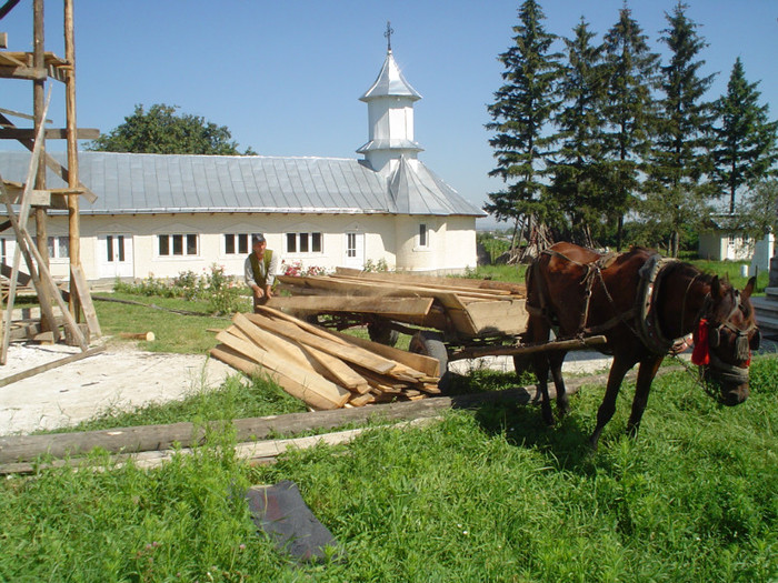 DSC00067 - Schela Clopotnita