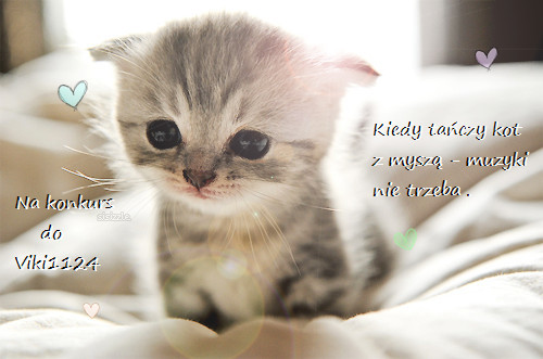 ~Hellow~